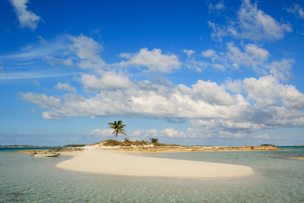 Cayo Mortaja