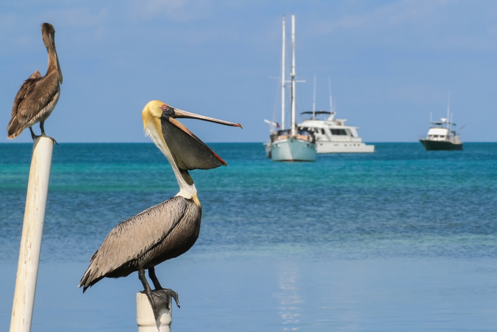 Cayo Hideaway