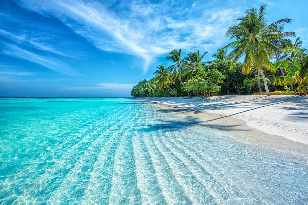Bahía de Dickenson