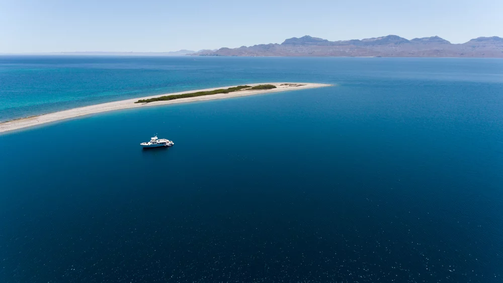 Isla San José