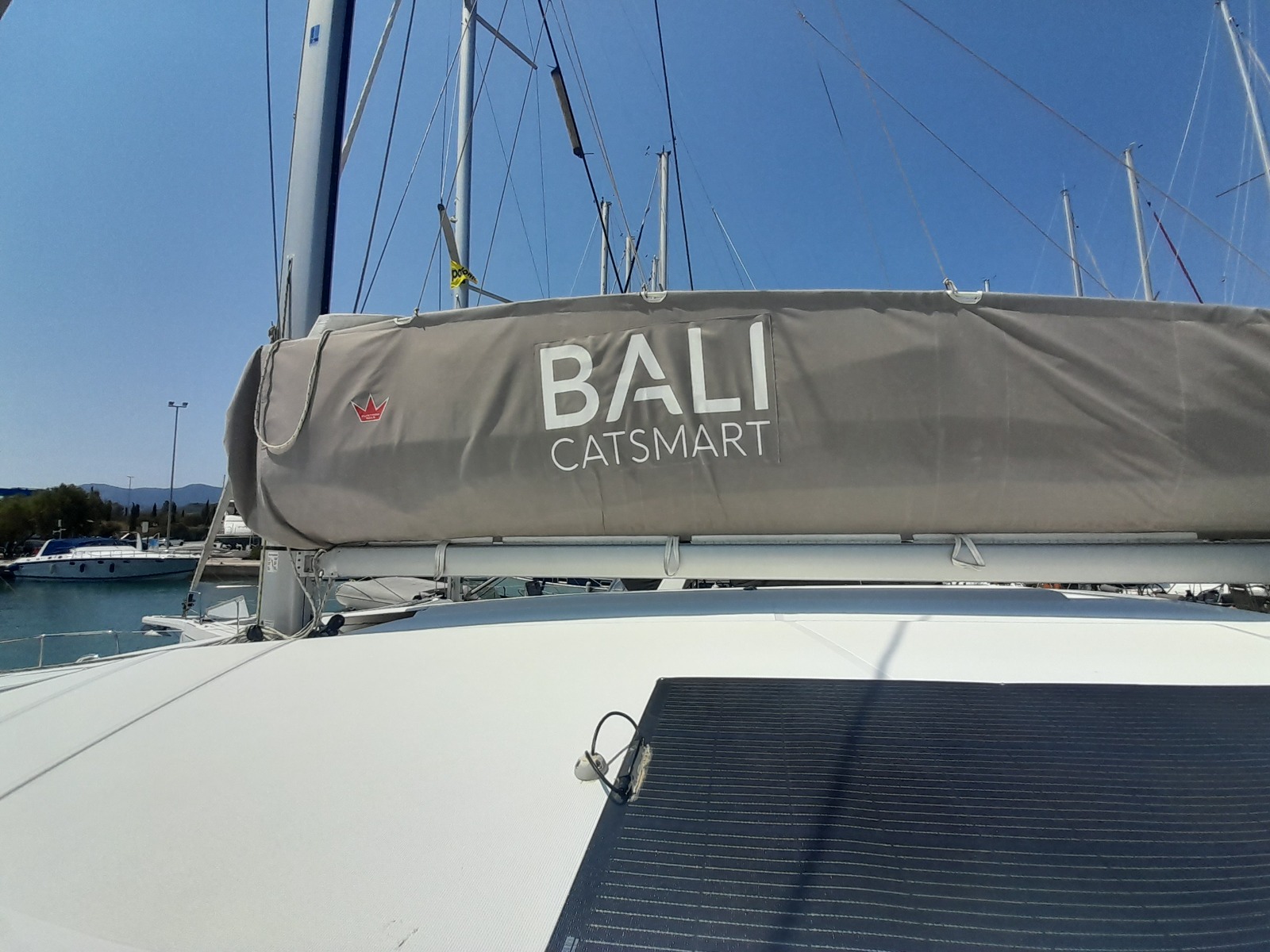 Bali Catsmart — photo 4