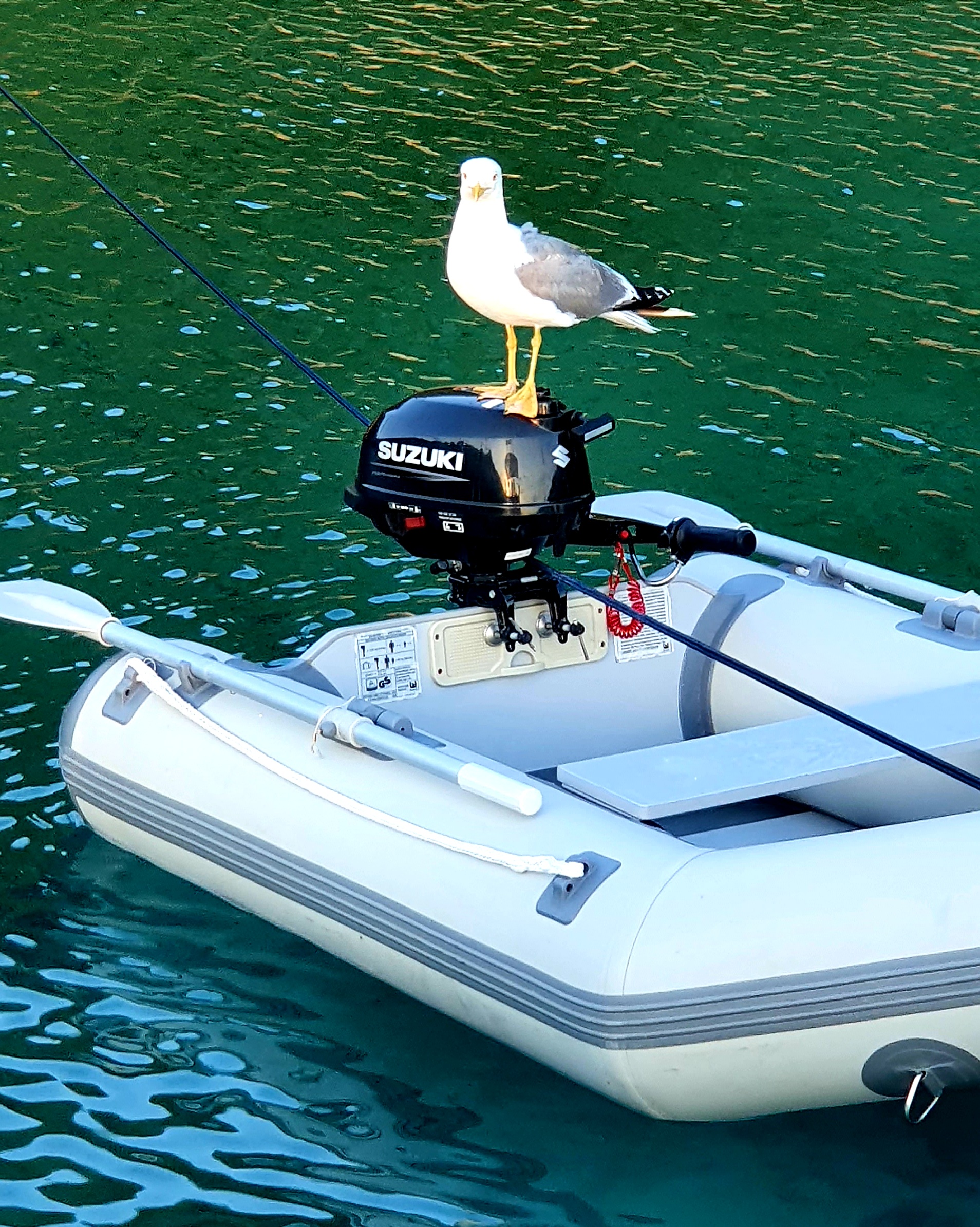 Bavaria 44 — photo 44