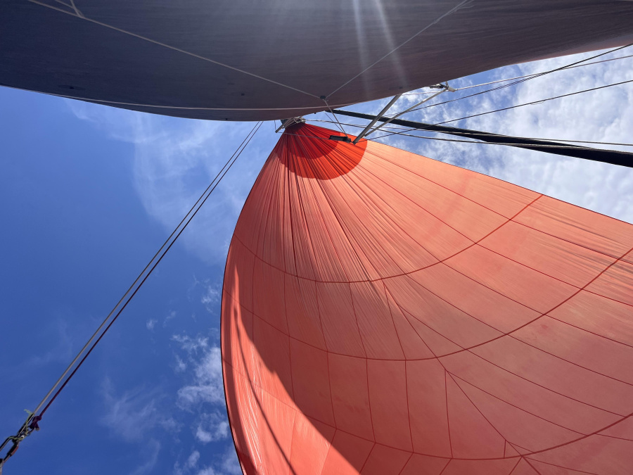 Dragonfly 28 Sport — photo 29