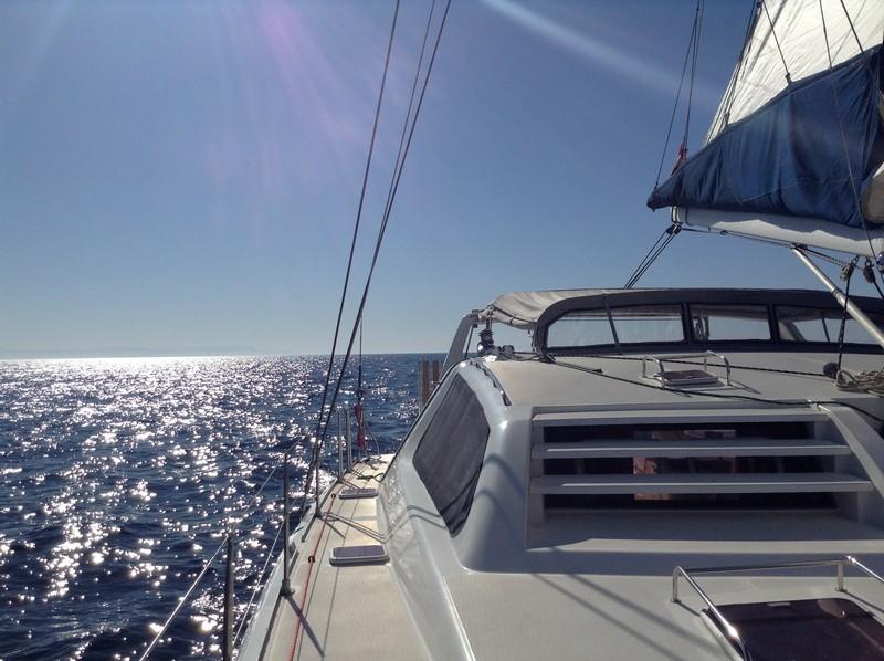 Leopard 47 — photo 15