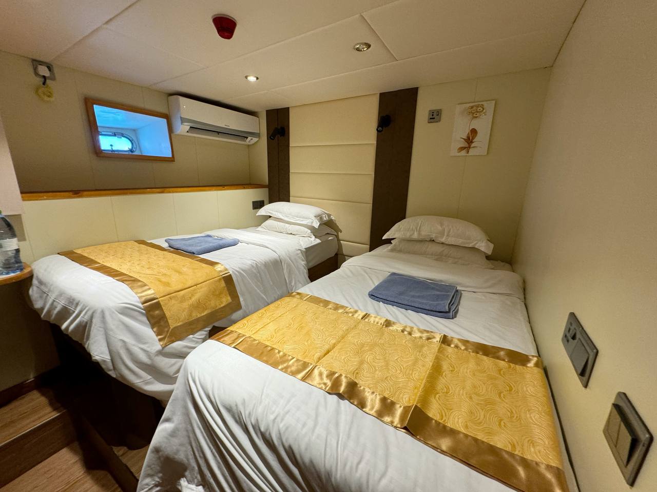 Motoryacht N7 — photo 9
