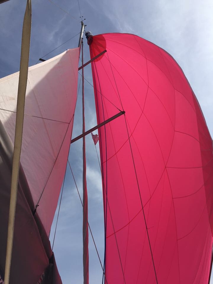 Oceanis 37 — photo 4