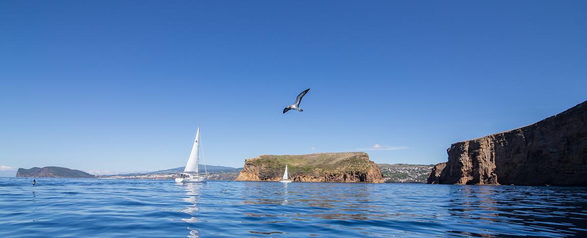 Bavaria Cruiser 37 — photo 7