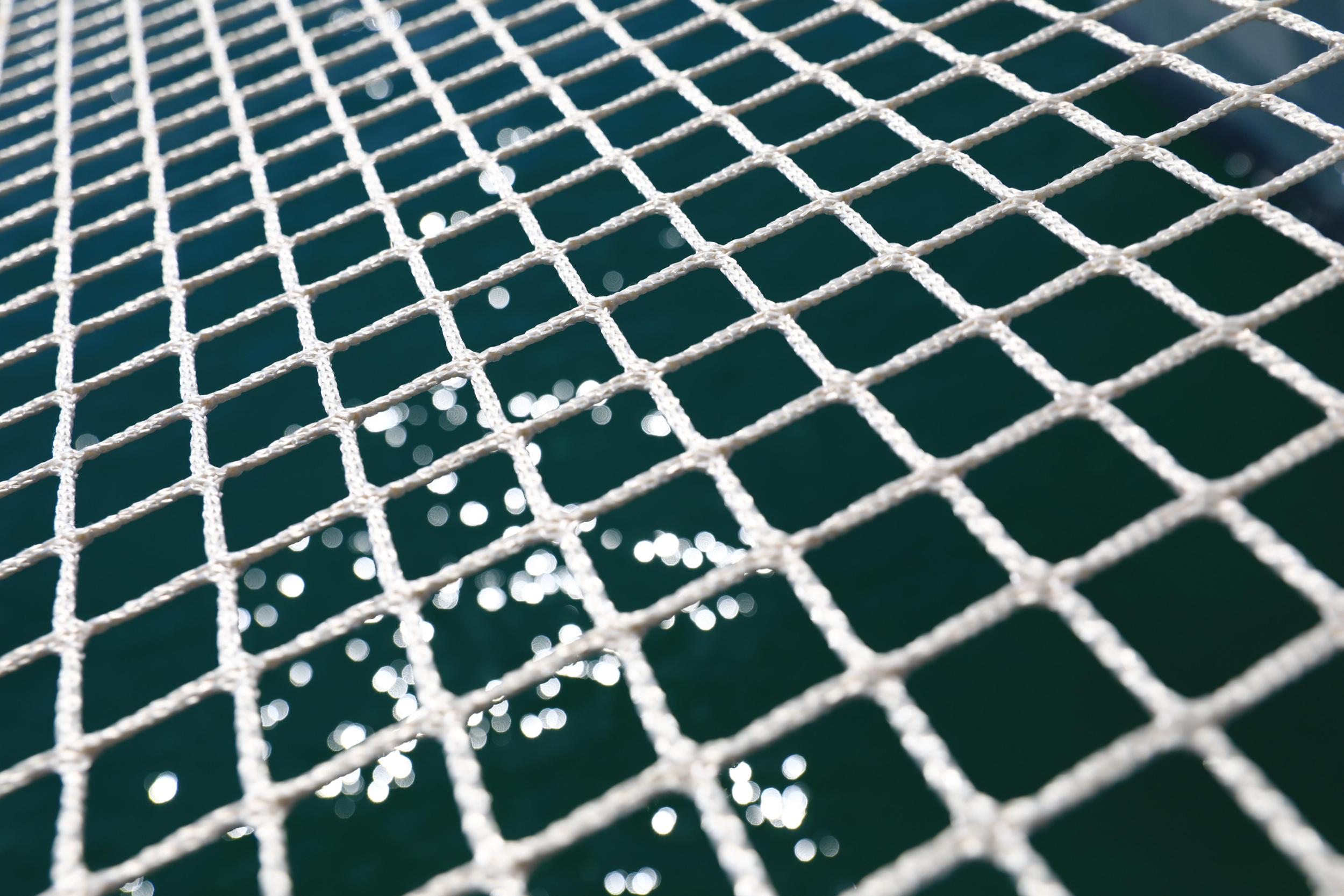 Lagoon 42 — photo 40