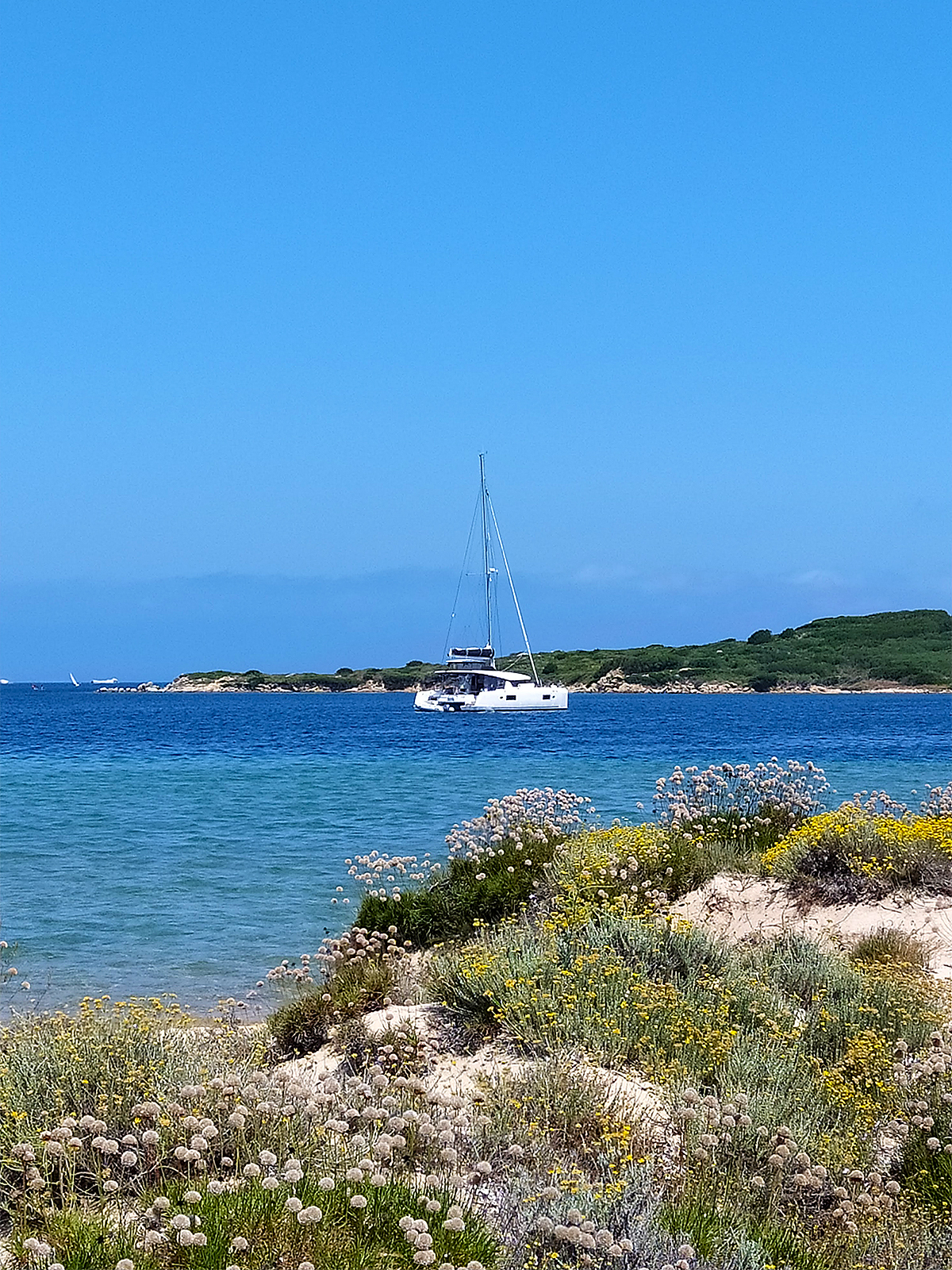 Lagoon 450F — photo 2