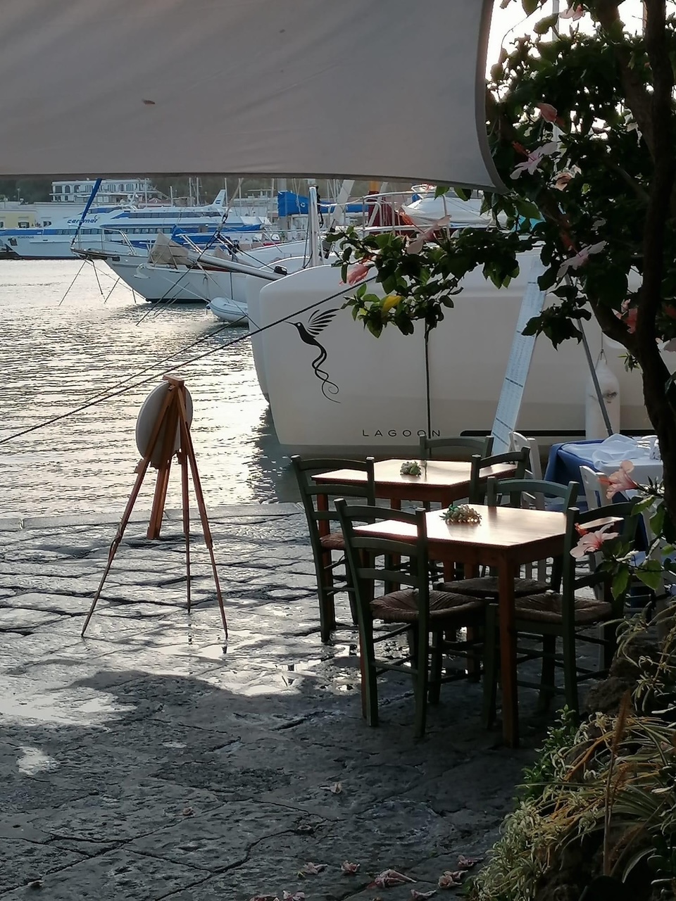 Lagoon 50 — photo 21