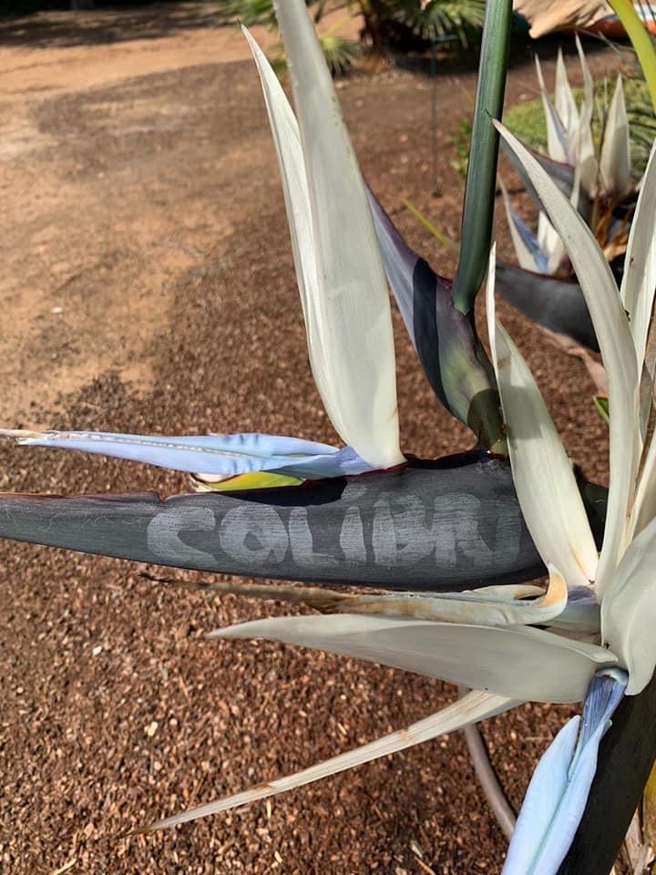 Lagoon 50 — photo 27