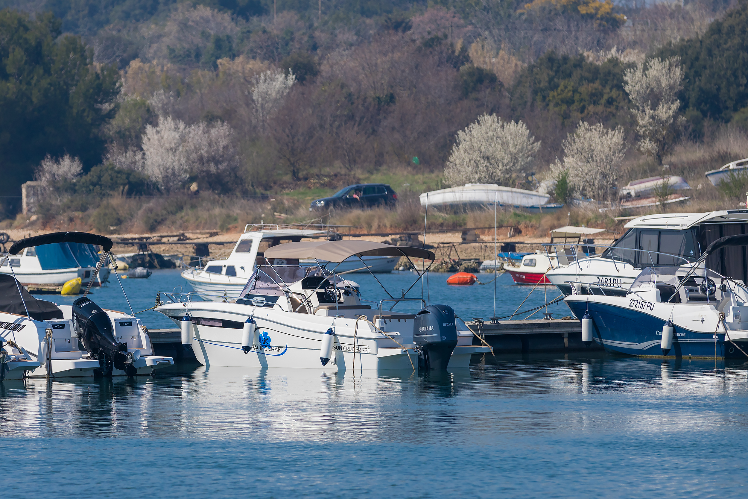 Pacific Craft 750 Sun Cruiser — photo 3