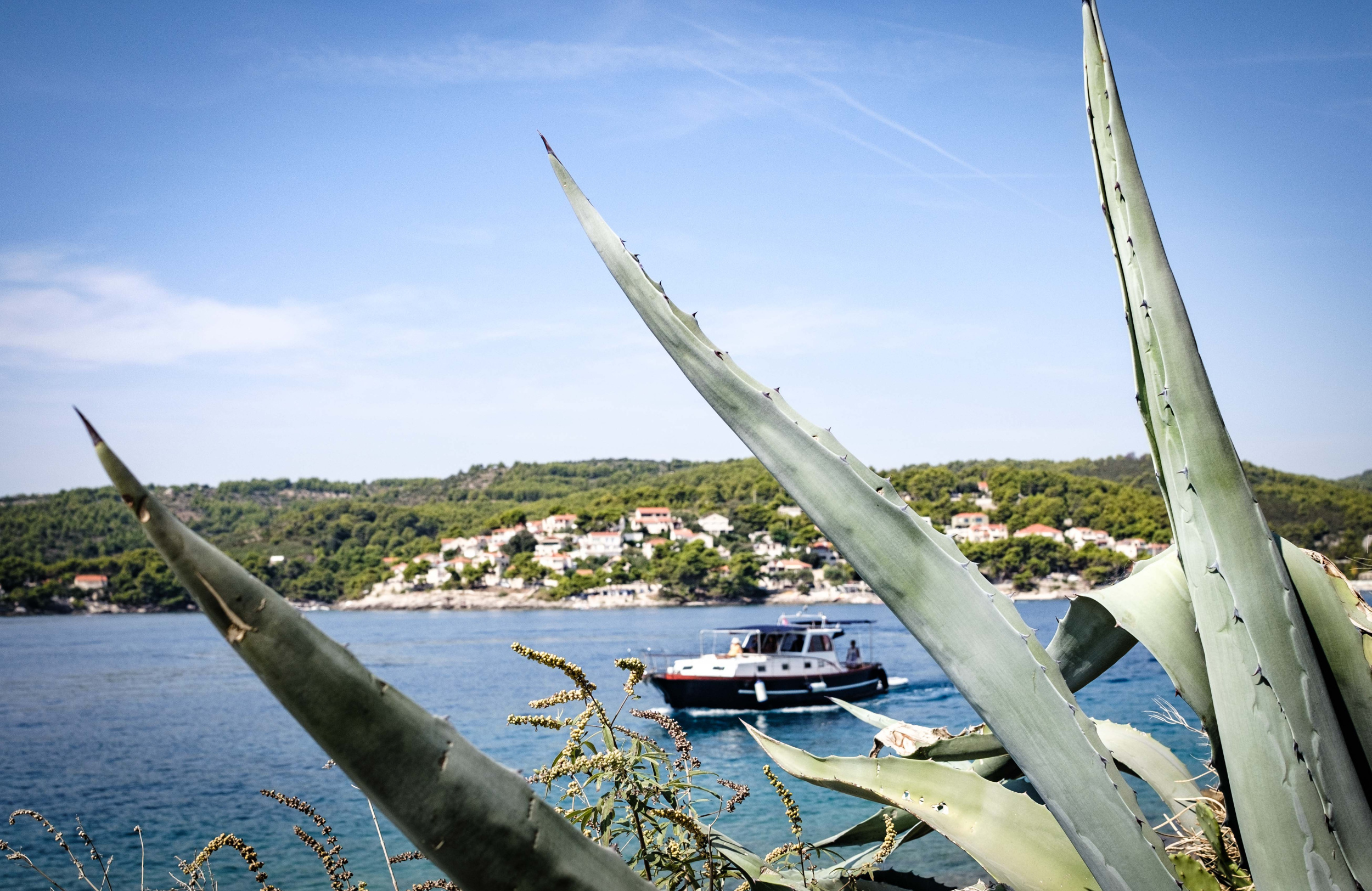 Dalmatian boat — photo 13