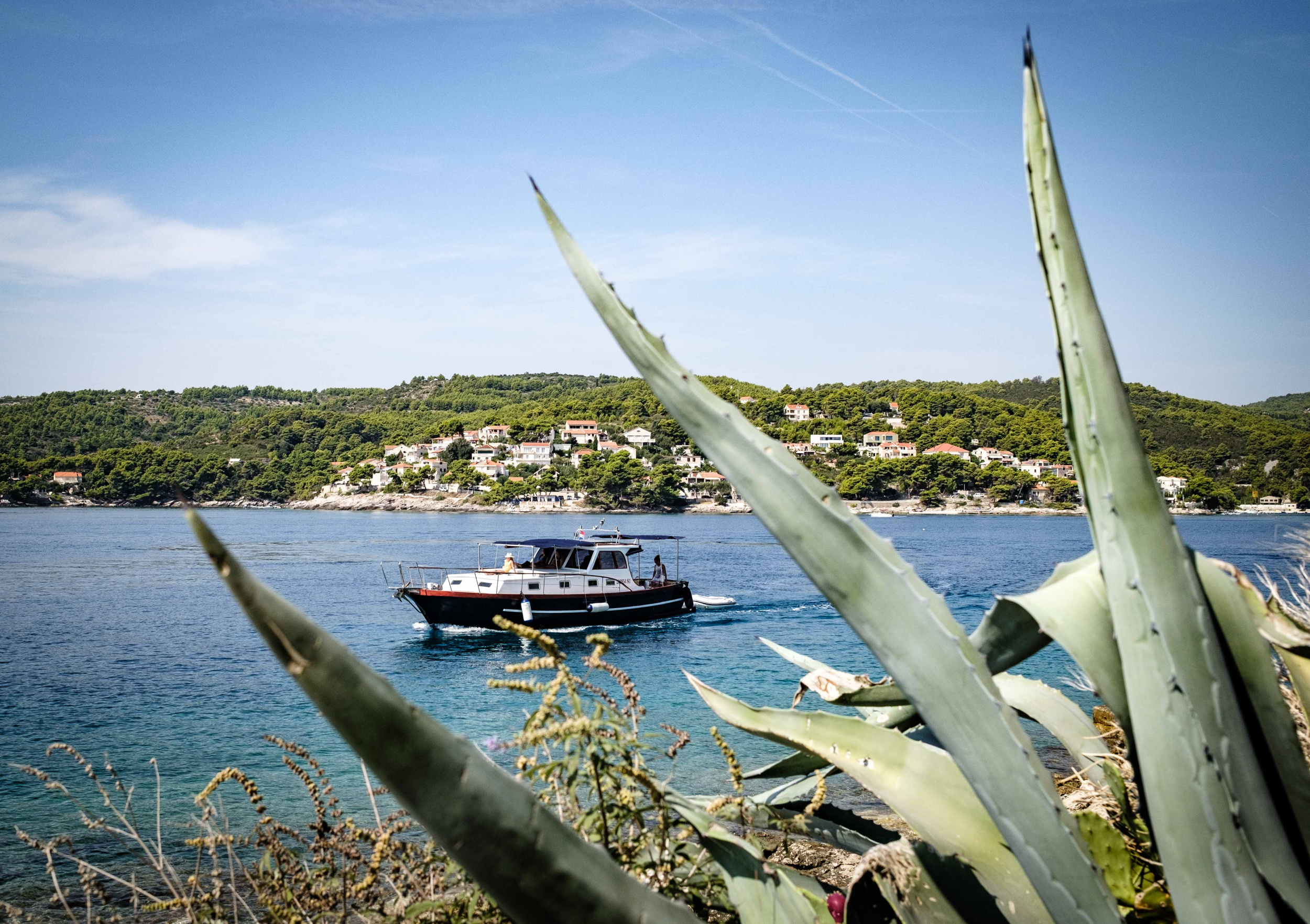 Dalmatian boat — photo 30