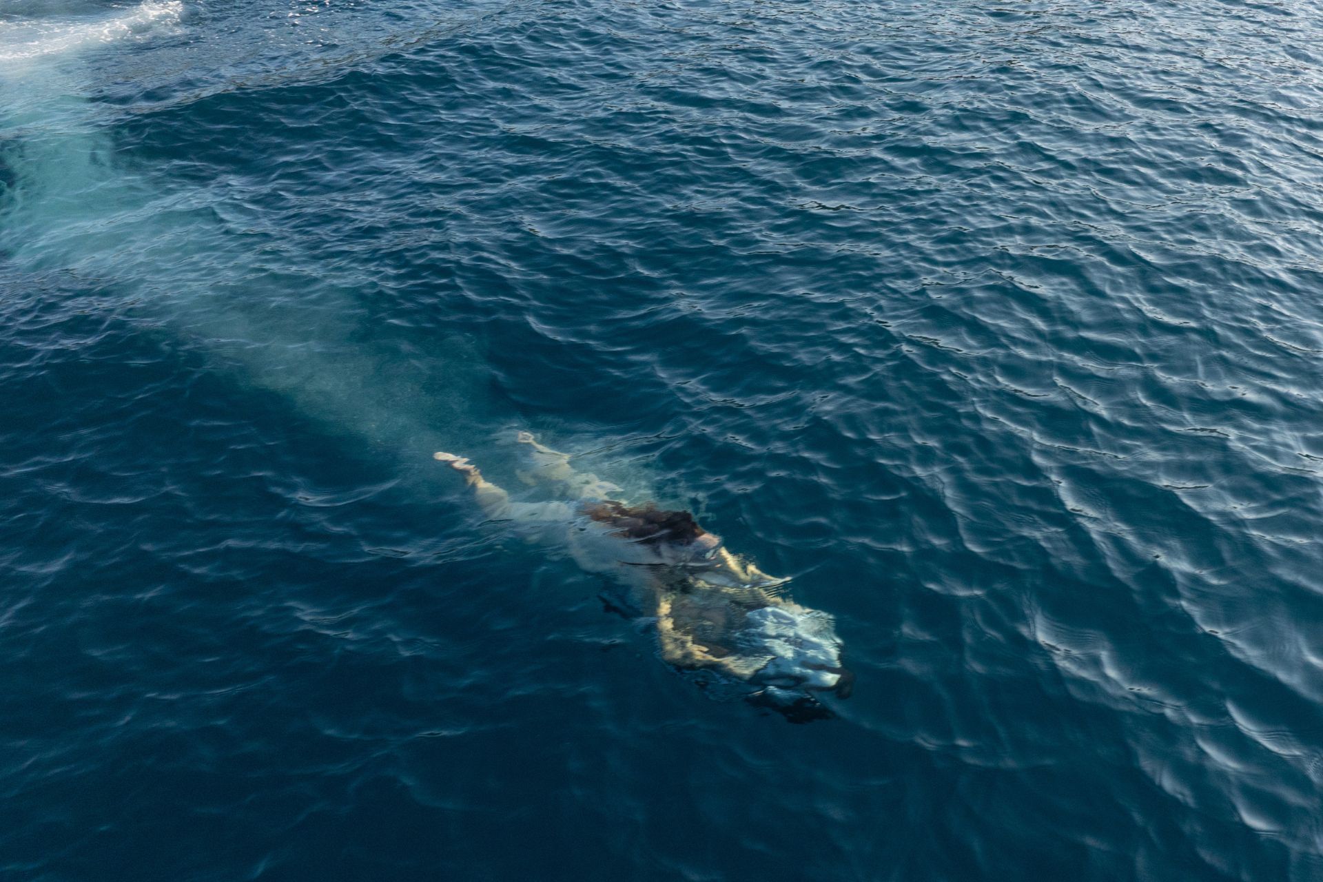 Lagoon 55 (2025) — photo 10