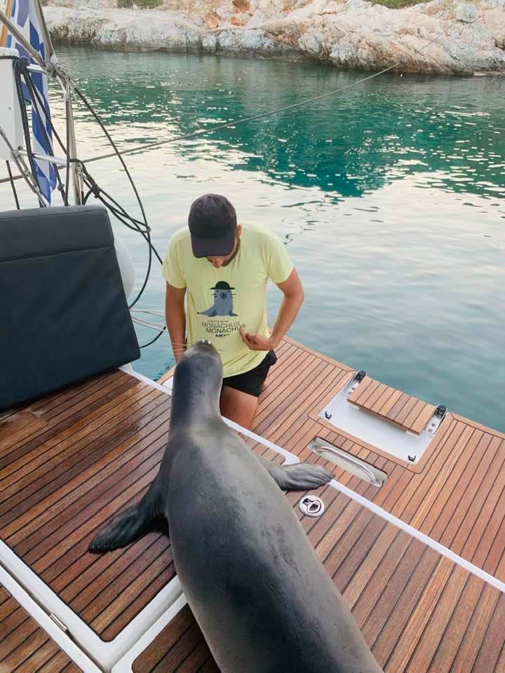 Sun Odyssey 440 — photo 12