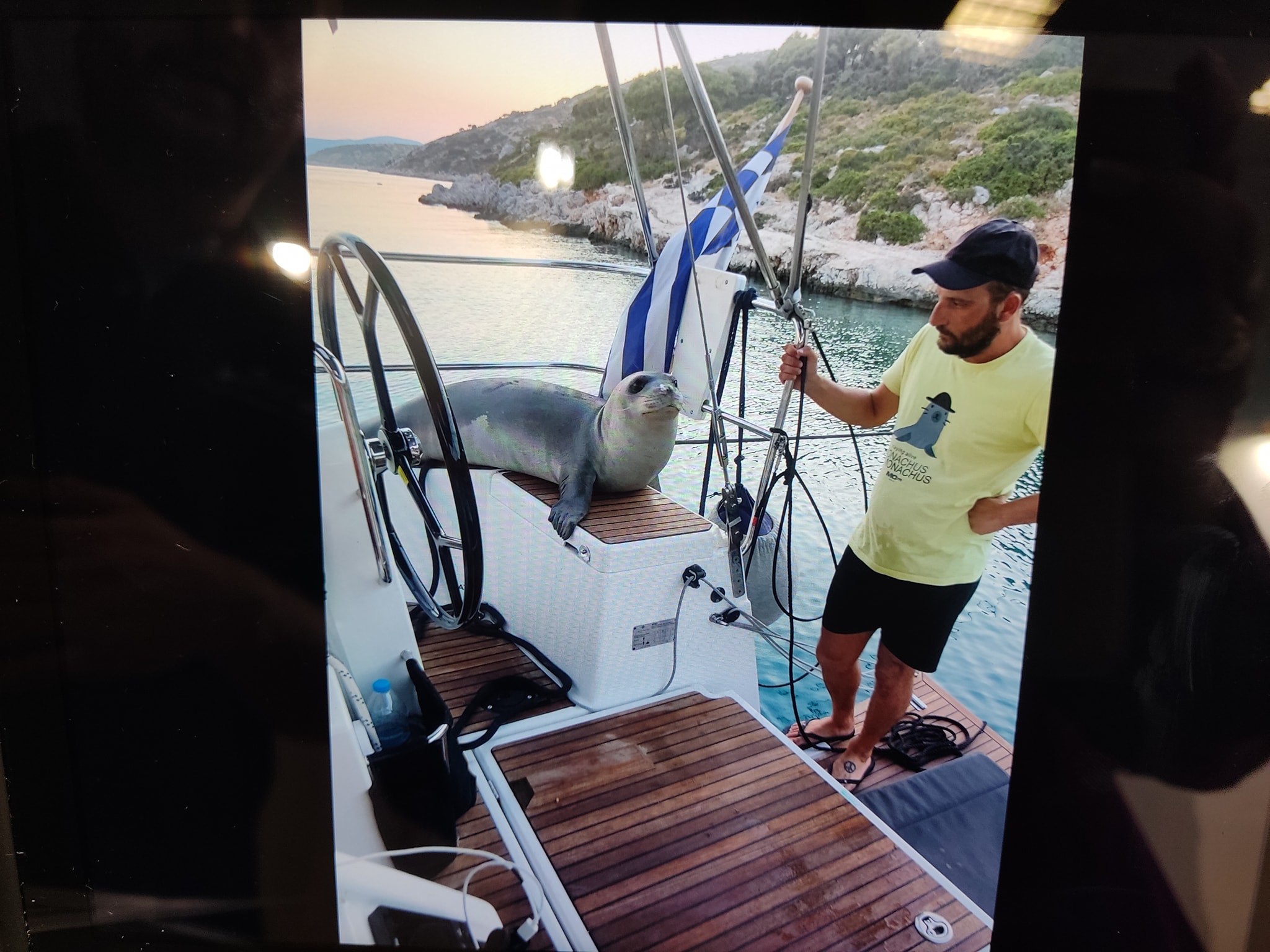 Sun Odyssey 440 — photo 7
