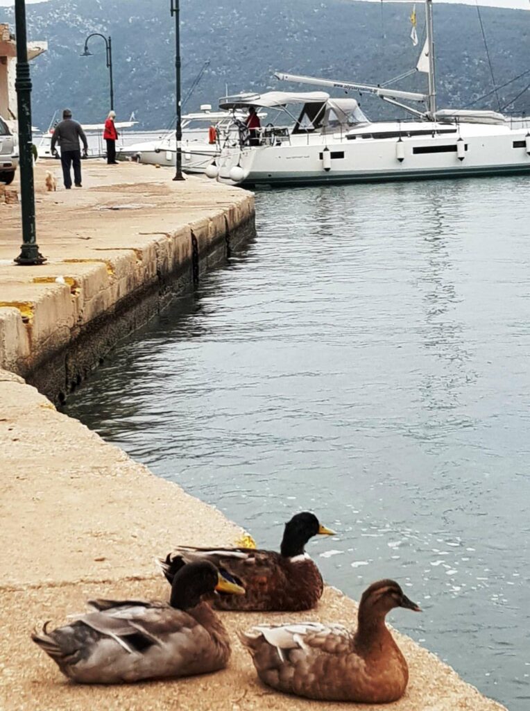 Sun Odyssey 440 — photo 13