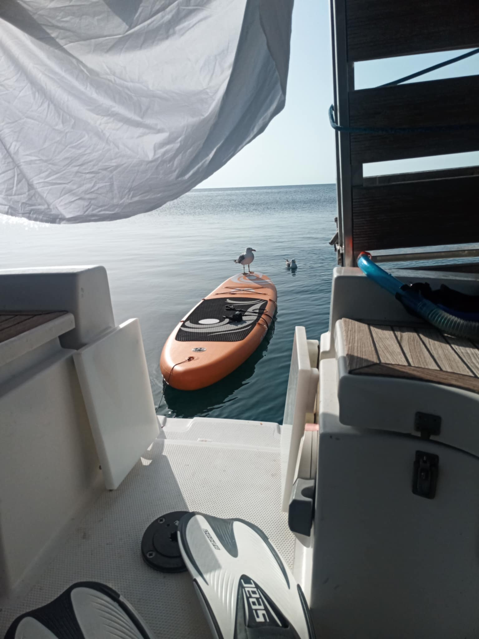 Hanse 342 — photo 2