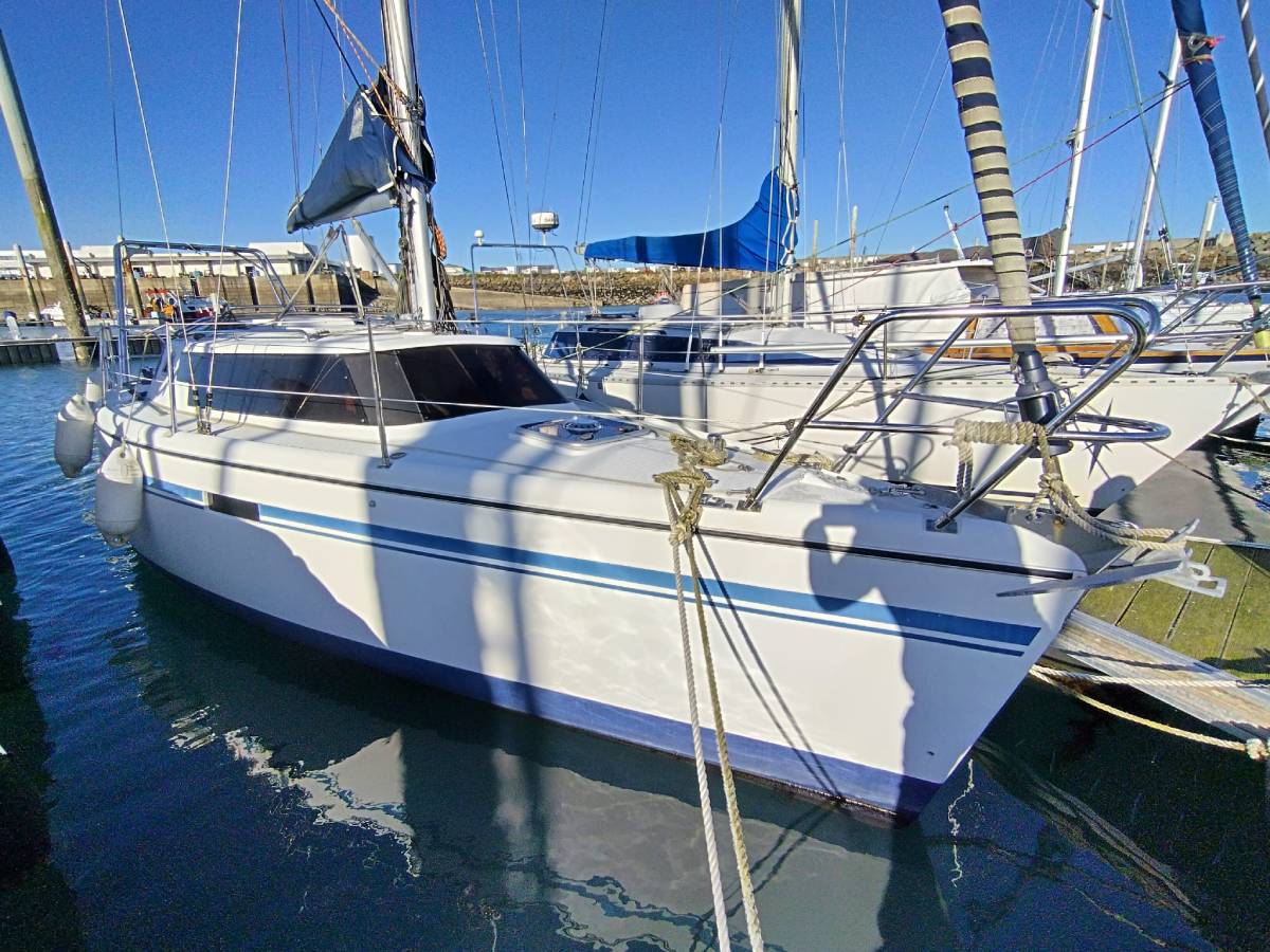 Wrighton - BI LOUP 30 — photo 1
