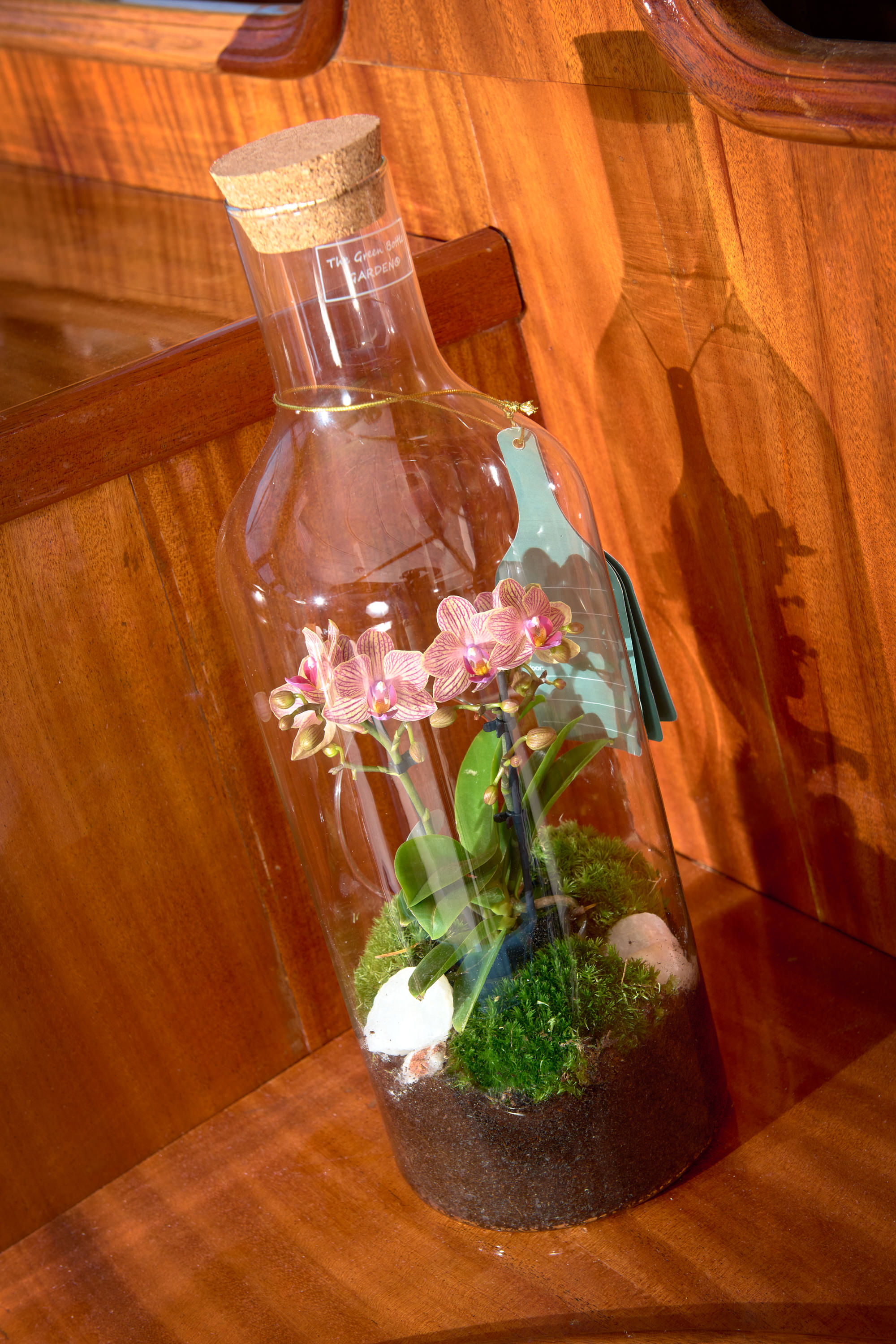 Gulet — photo 33