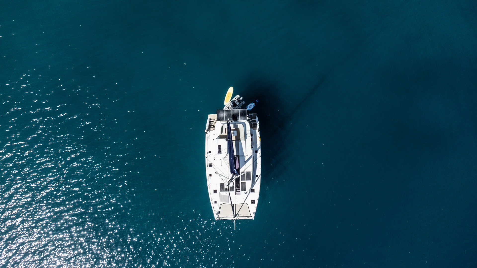 Leopard 50 — photo 29