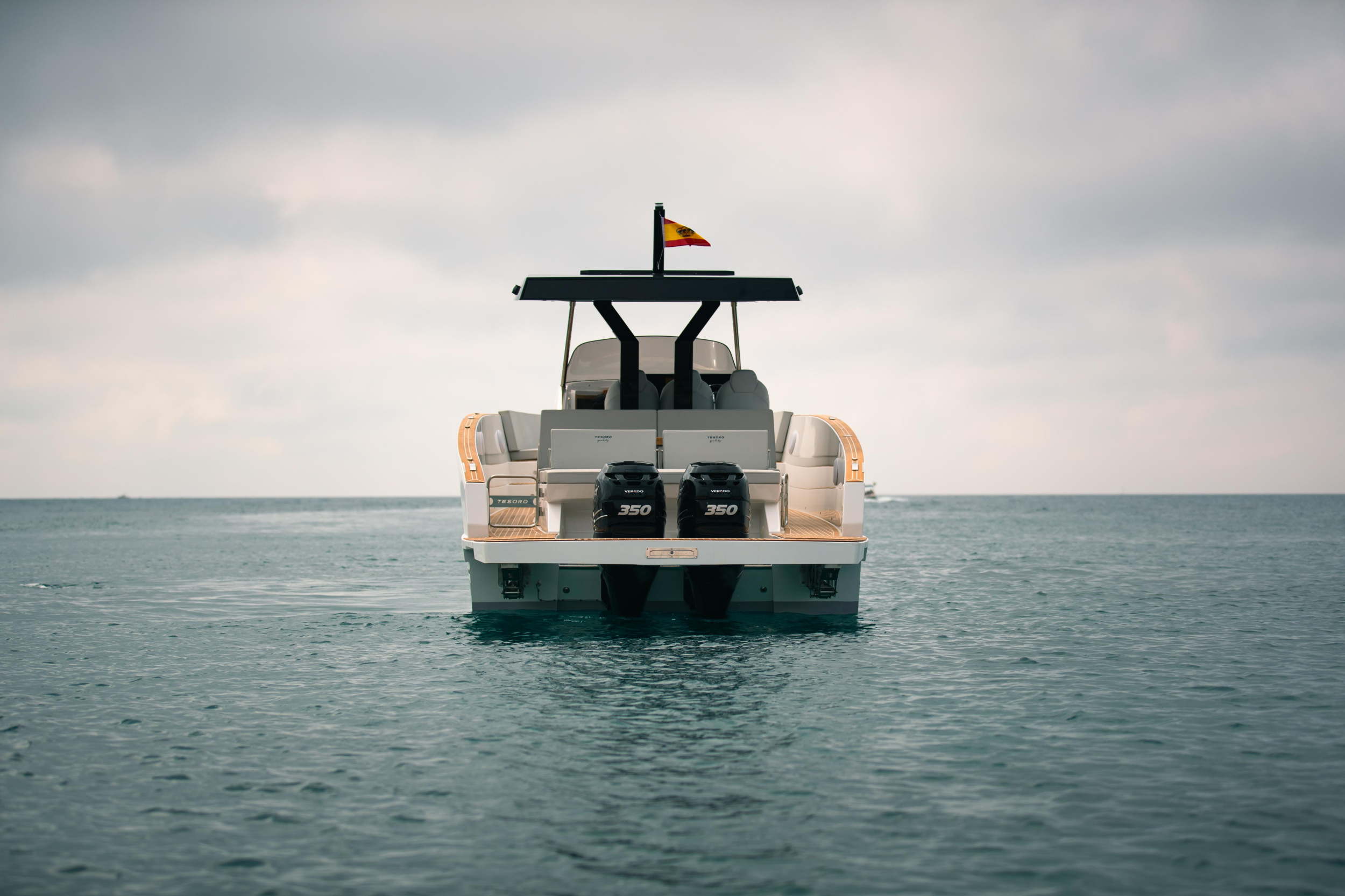 Tesoro T40 — photo 11