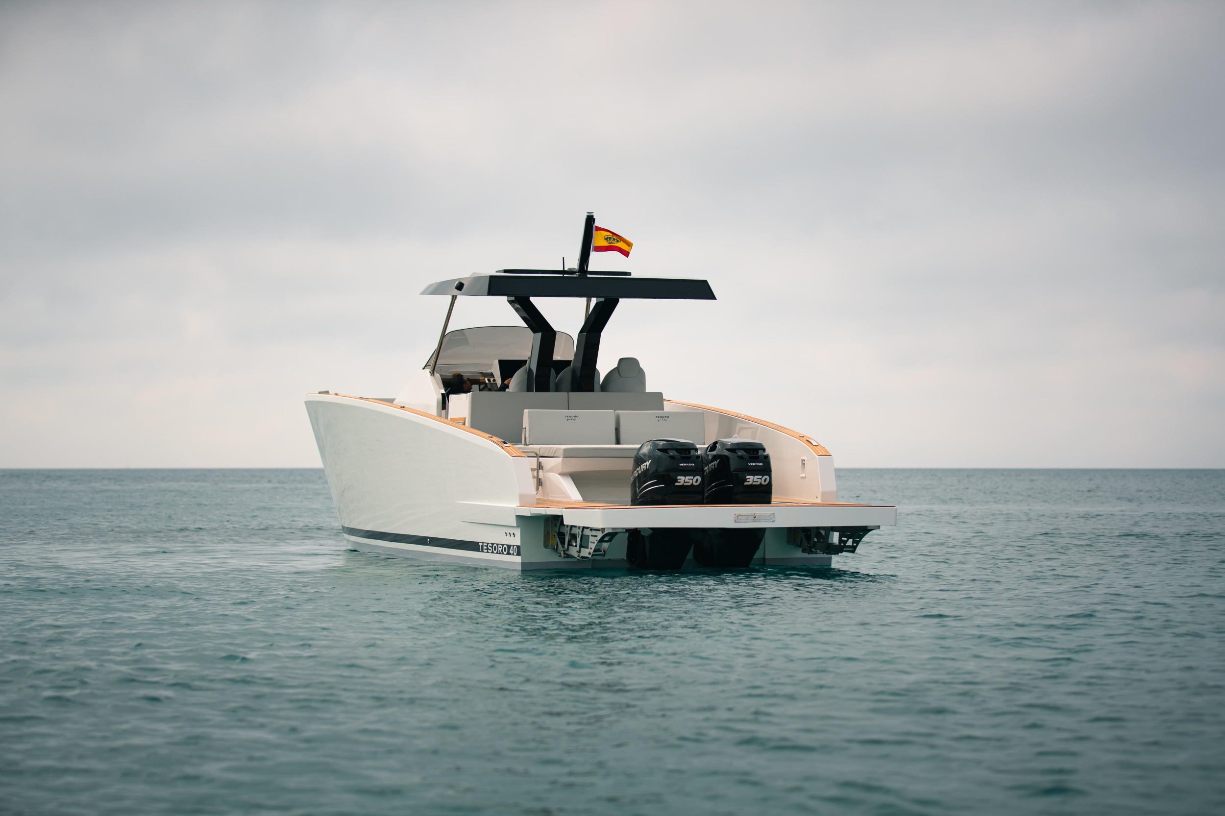 Tesoro T40 — photo 9
