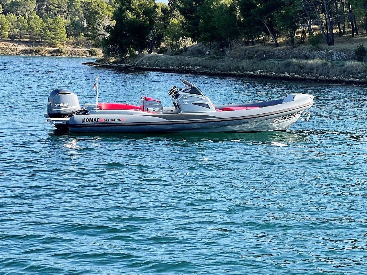 Lomac 750 — photo 1