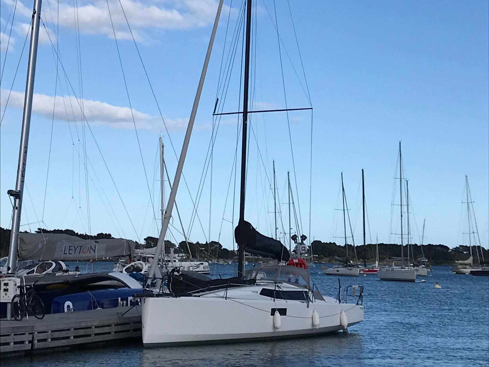Pogo 36 — photo 1