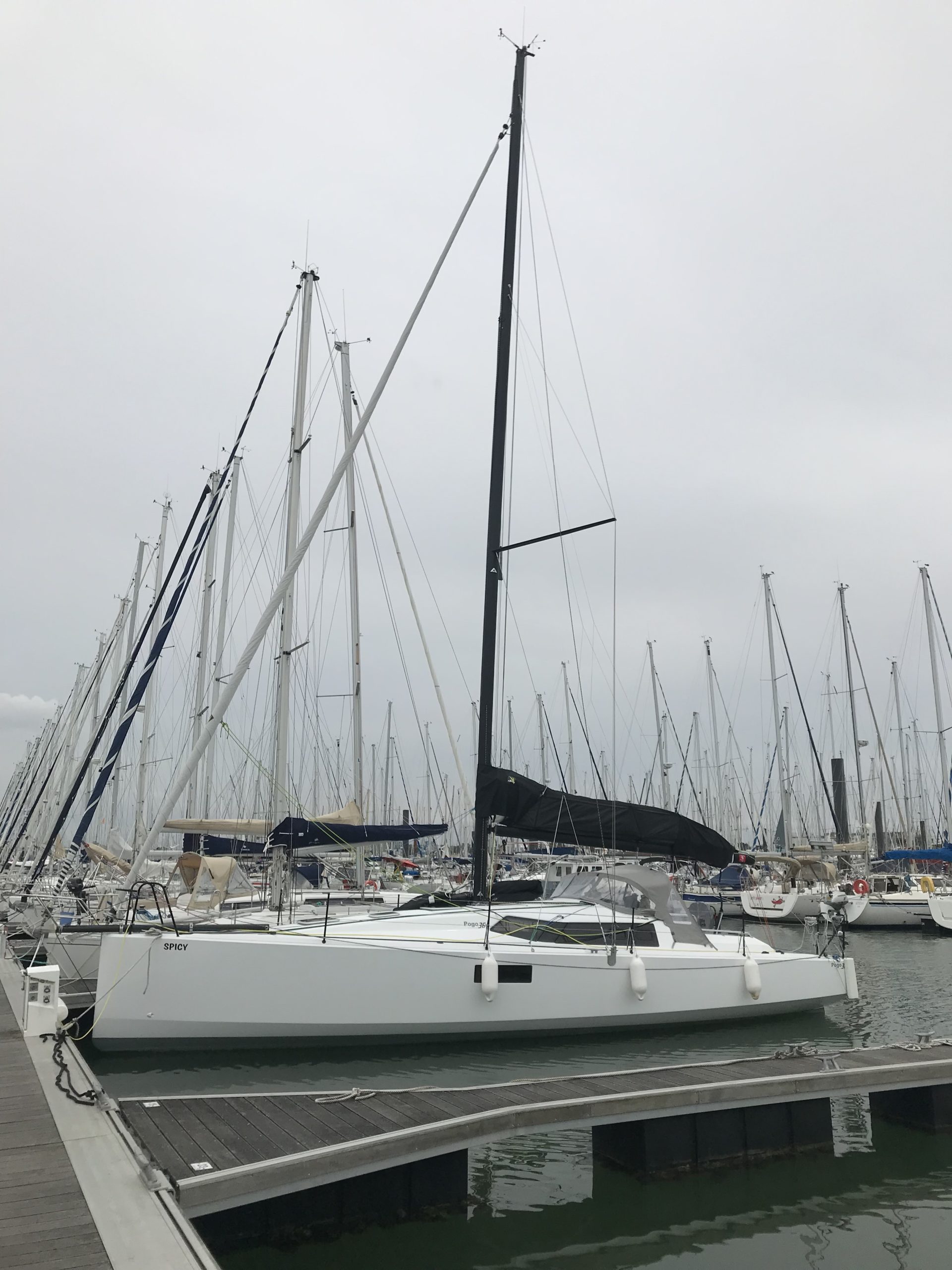 Pogo 36 — photo 3