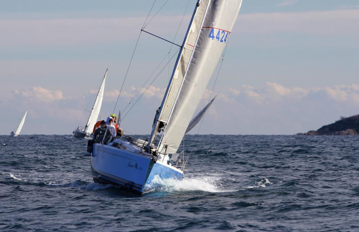 Hanse 315 — photo 2