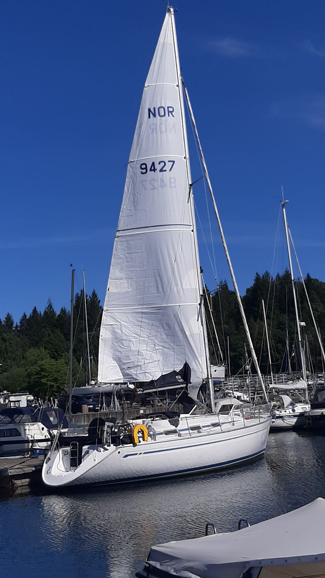 Bavaria 36 Cruiser — photo 9