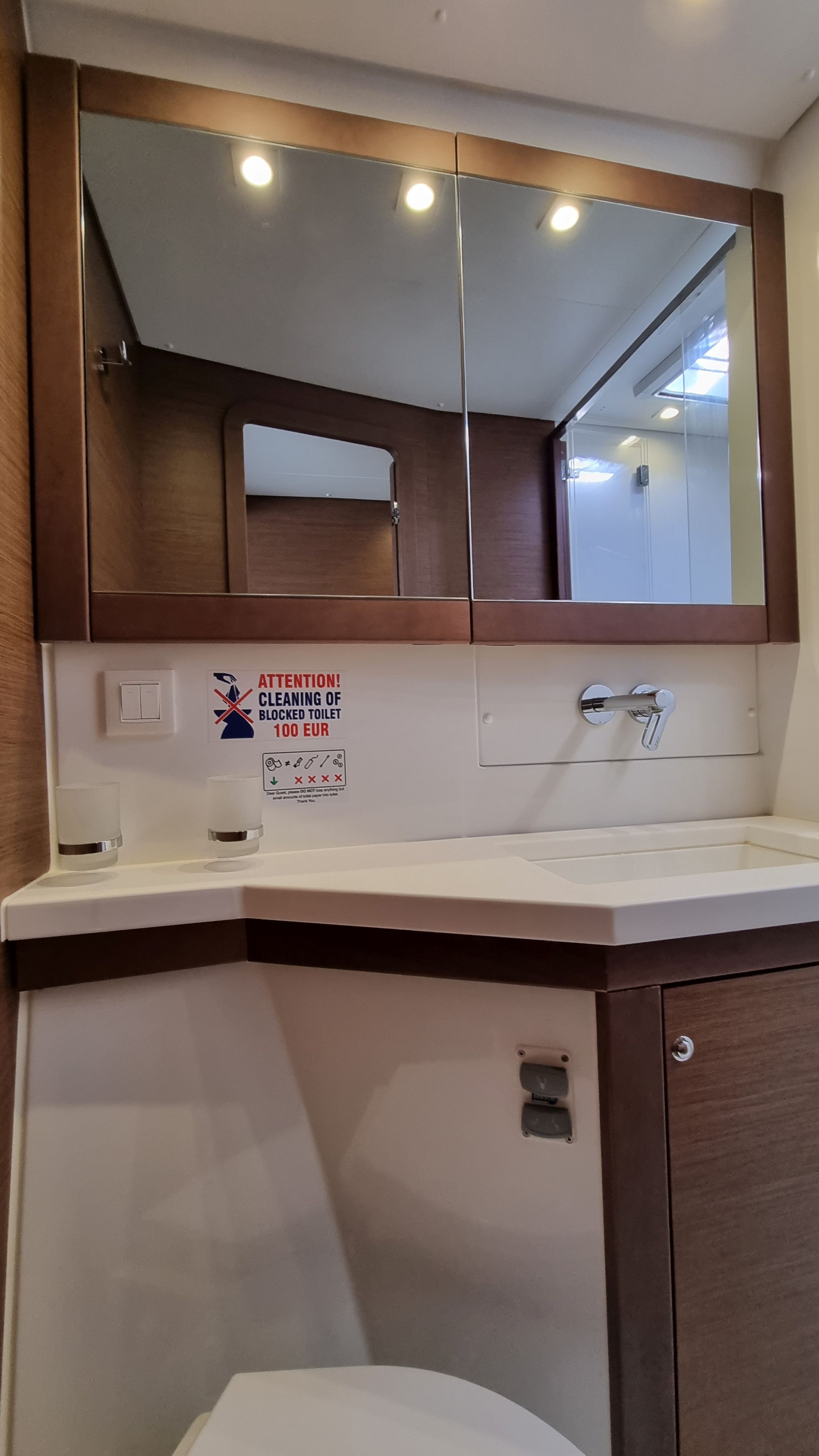 Lagoon 450F — photo 4