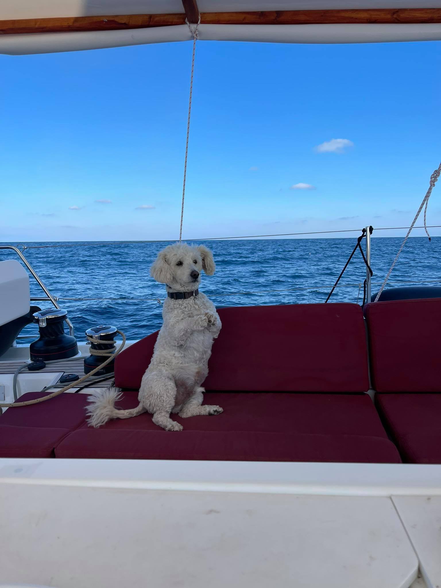Oceanis 51.1 — photo 22