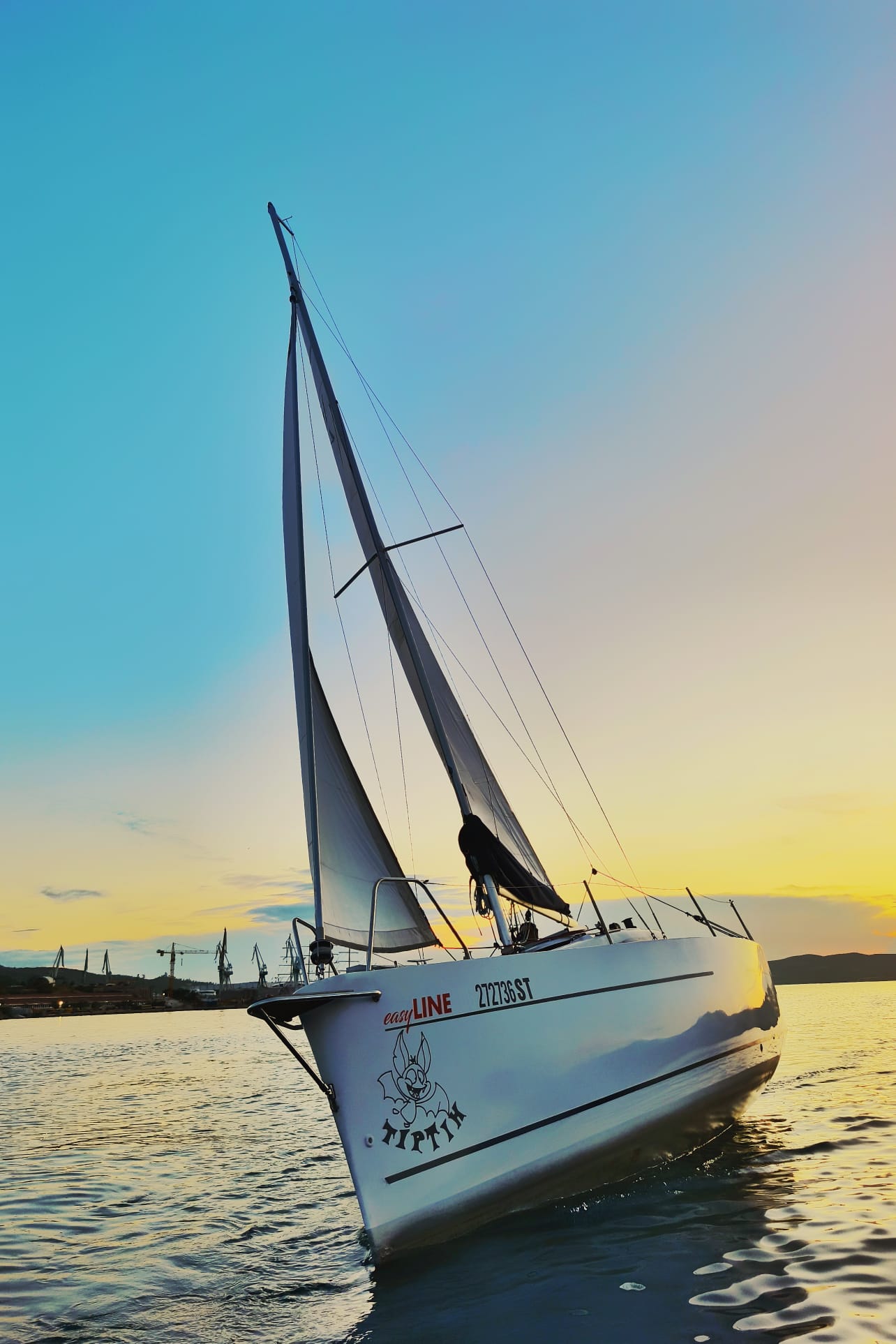 Viko S 21 — photo 18