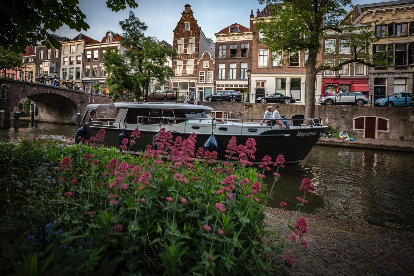 Brandsma Luna 40 — photo 13