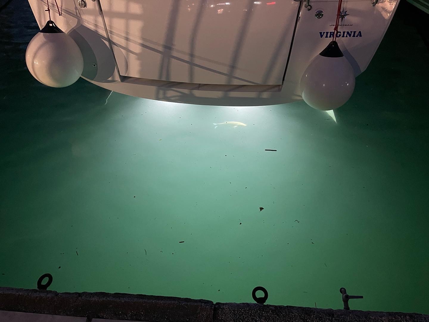 Sun Odyssey 440 — photo 15