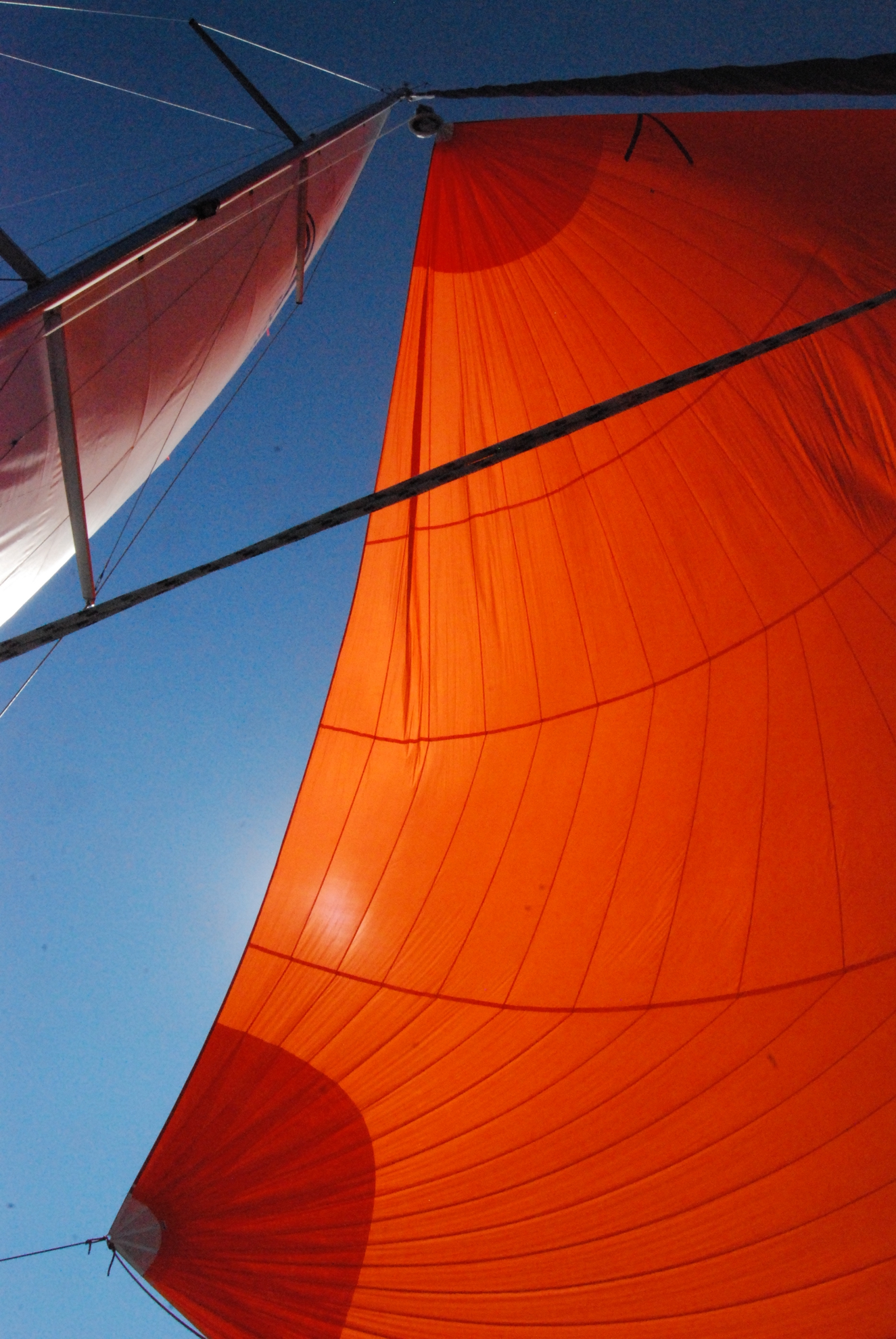 Hanse 508 — photo 3