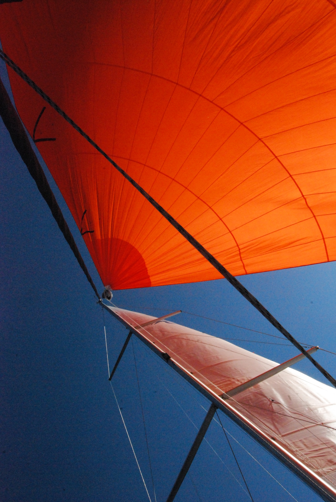 Hanse 508 — photo 13