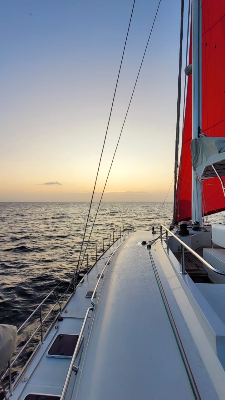Sunreef 62 — photo 8