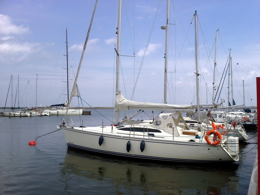 Delphia 40.3 — photo 6