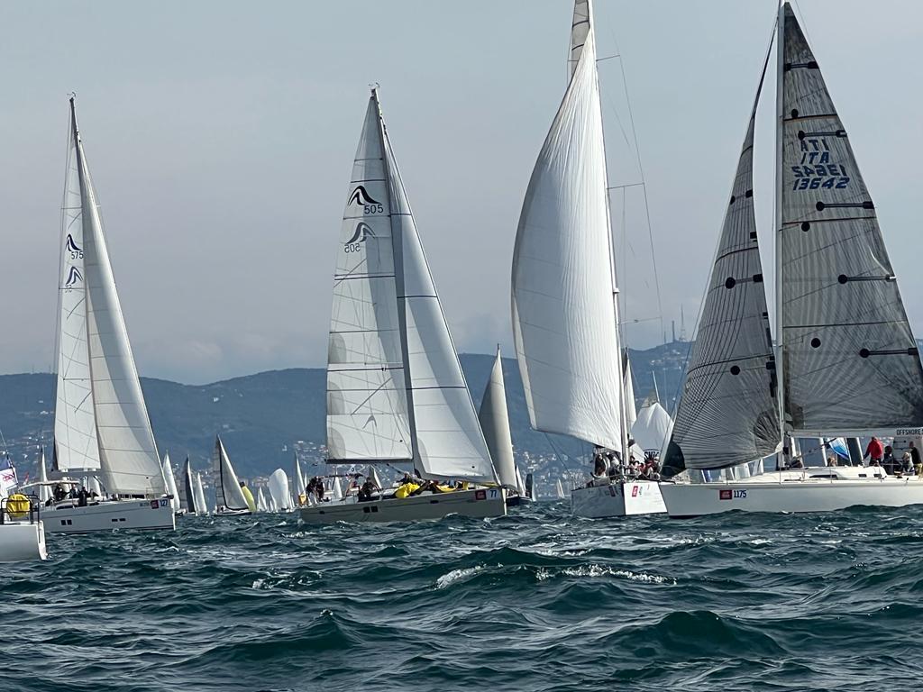 Hanse 505 — photo 5