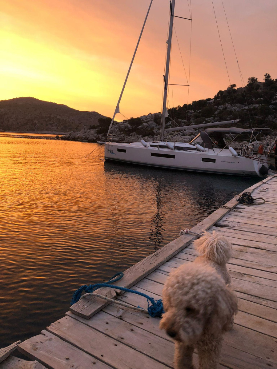 Sun Odyssey 440 — photo 10