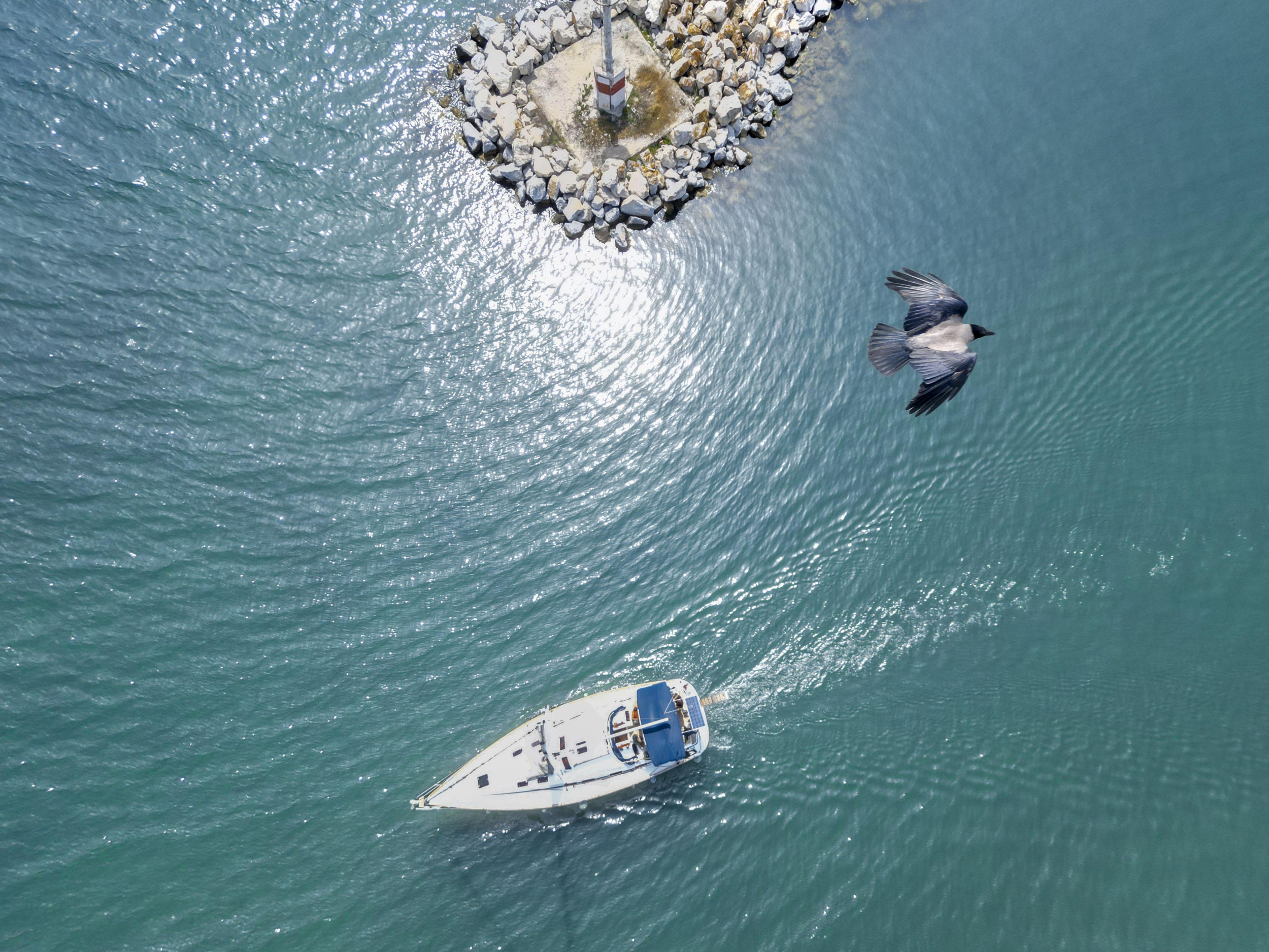 Bavaria 46 Cruiser — photo 5