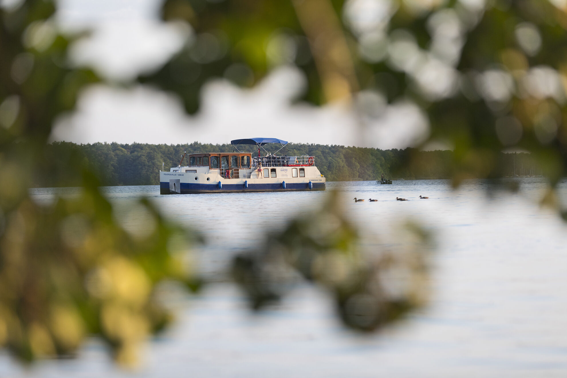 Kormoran 1280 — photo 18