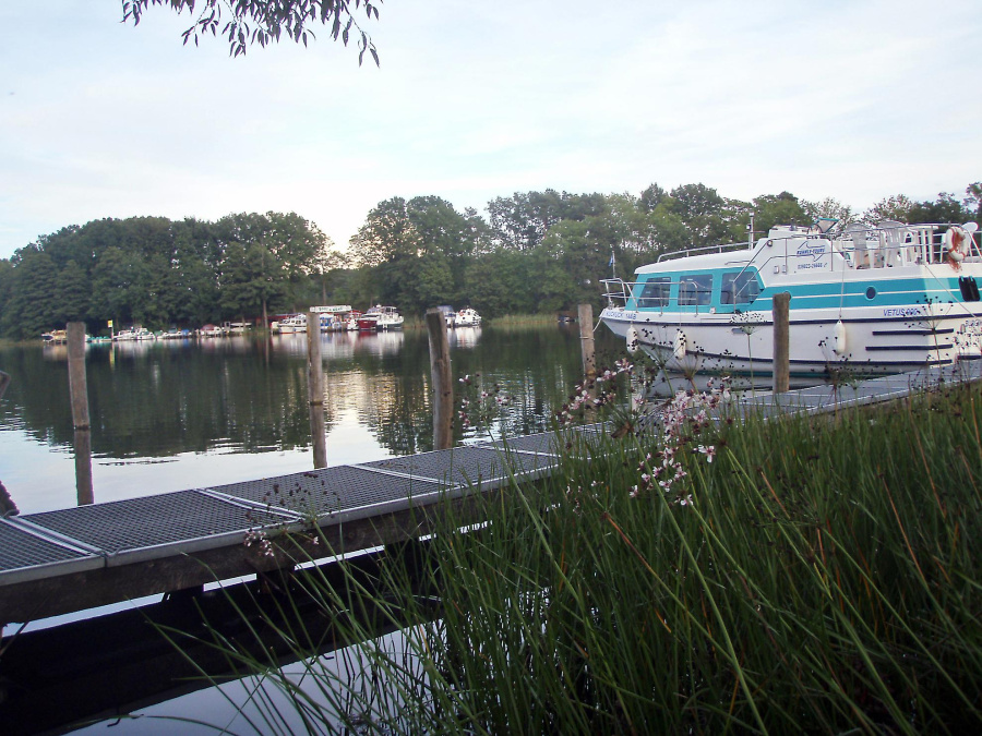 Vetus 900 — photo 9