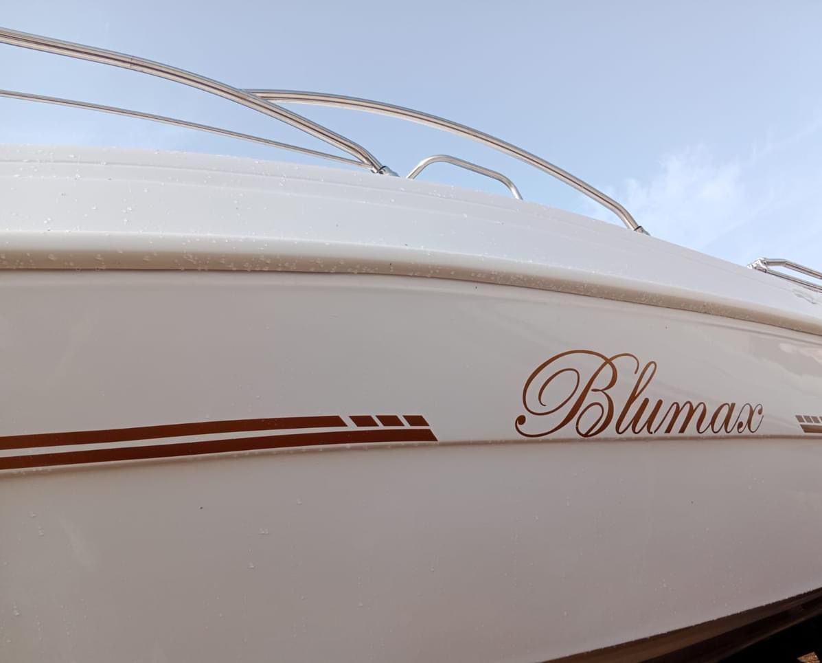 Blumax 19 Pro — photo 10