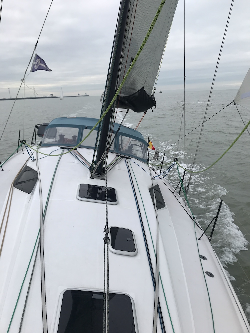 Pogo 36 — photo 3