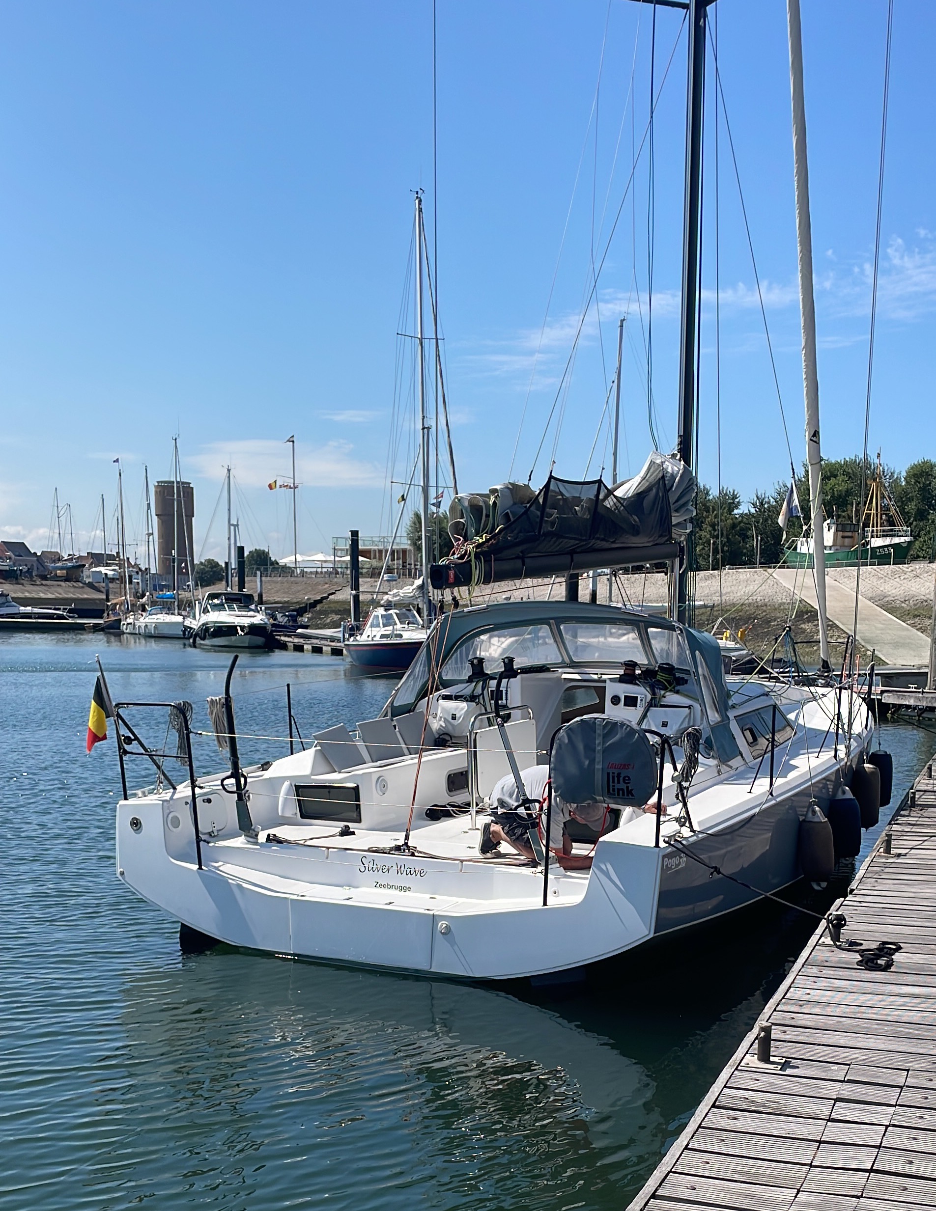 Pogo 36 — photo 11